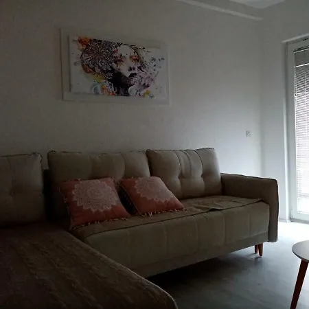 New